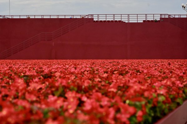 大象配资 北京日报独家揭秘 | 颜色鲜亮、高度统一、精神抖擞，揭秘天安门广场花坛如何保鲜