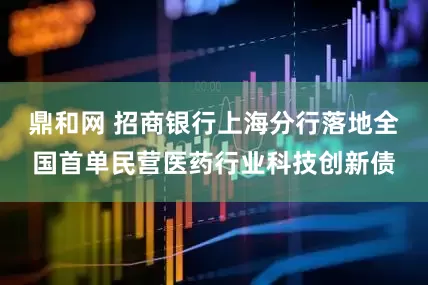 鼎和网 招商银行上海分行落地全国首单民营医药行业科技创新债