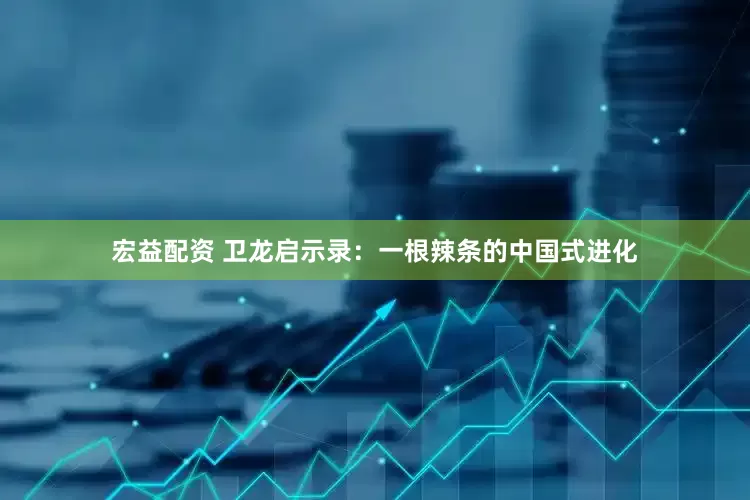 宏益配资 卫龙启示录：一根辣条的中国式进化