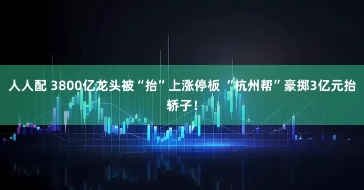 人人配 3800亿龙头被“抬”上涨停板 “杭州帮”豪掷3亿元抬轿子！